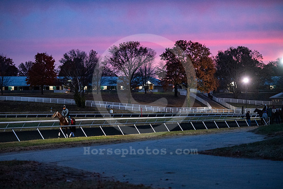 Keeneland_TrainingTrack_Sunrise01