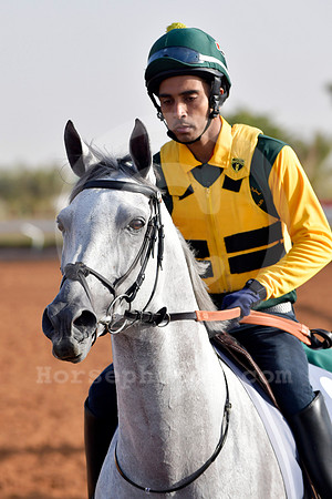 230222C955RIAD