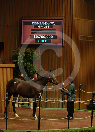 kee0905_hip384R_jd