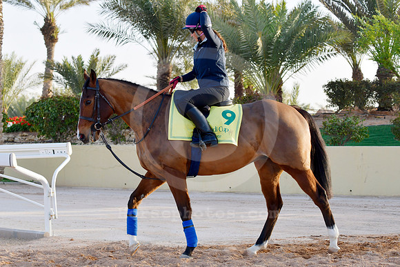 230223C912RIAD