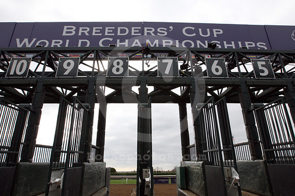 bc15startinggate01_cg