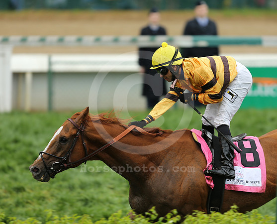 wisedan74