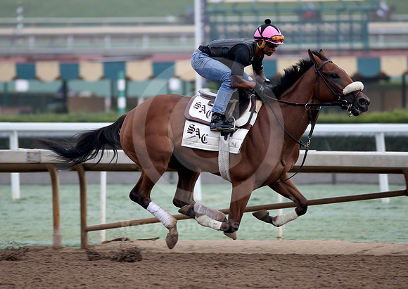 bellafina34_cg