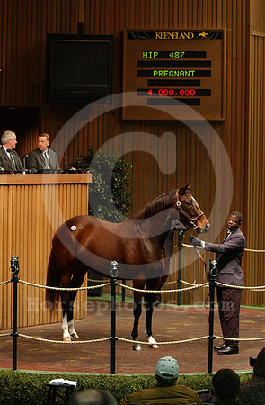 hip487R_kee2002novsale_jd