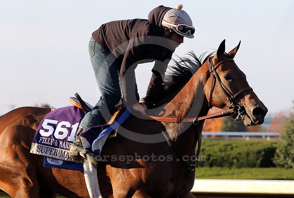 supermajesty05_cg