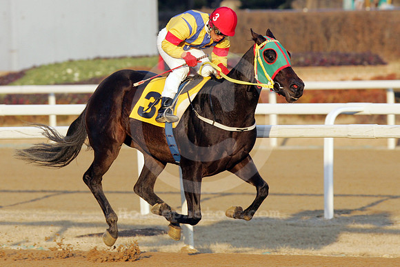 seoul_korea_88_fs