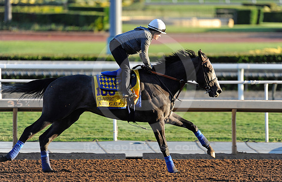 arrogate35_ljp