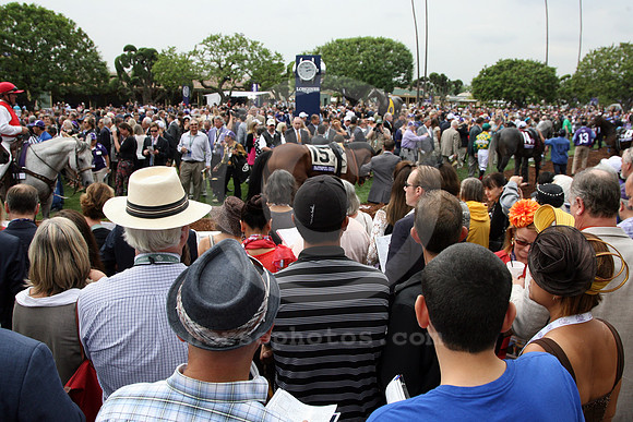 BC14CROWD03_cg