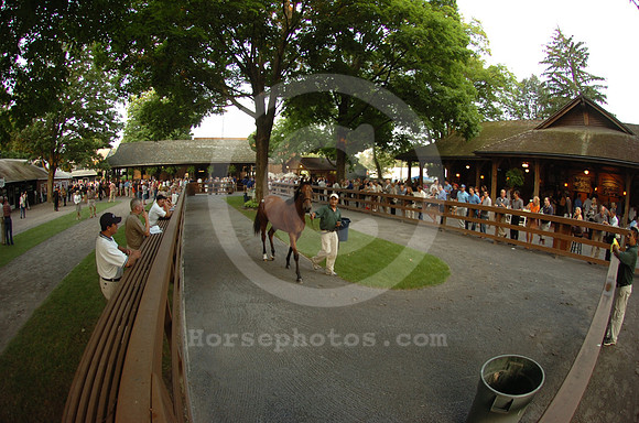 ft0807_horsesales10_jd