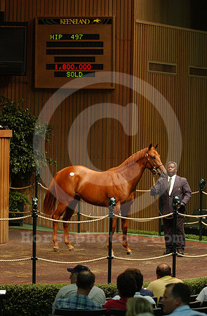 kee09_03hip497R_jd