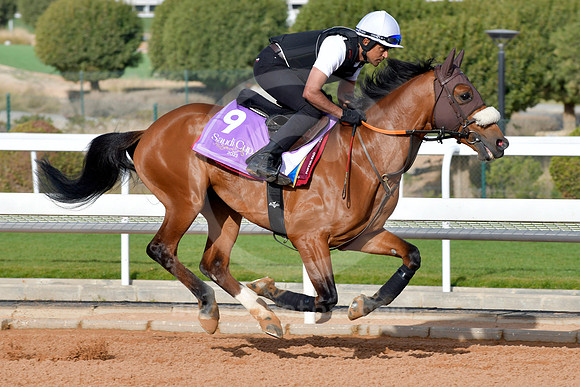 230222C971RIAD