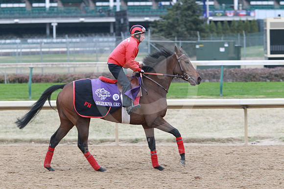 goldikova40_nh