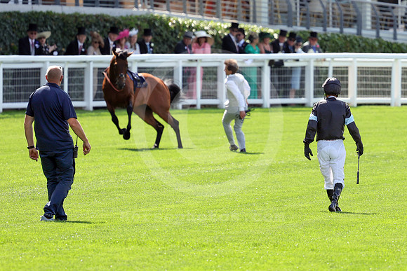 250617D522ROYAL_ASCOT