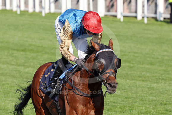 250617D613ROYAL_ASCOT