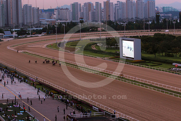 pusanracecourse01_tm