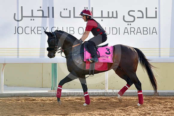 230222C951RIAD
