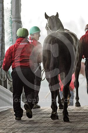 seoul_korea_06_fs