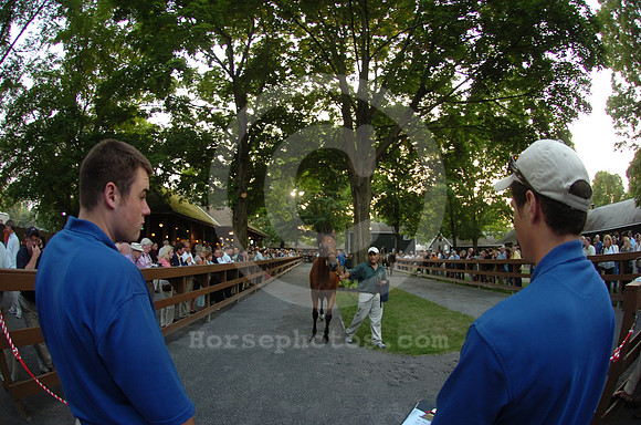 ft0807_horsesales15_jd