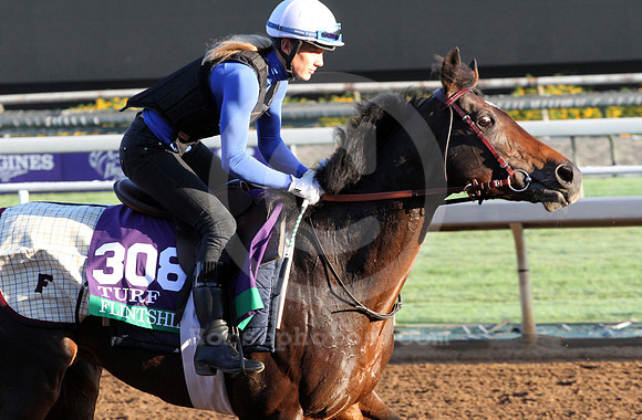 flintshire01_cg