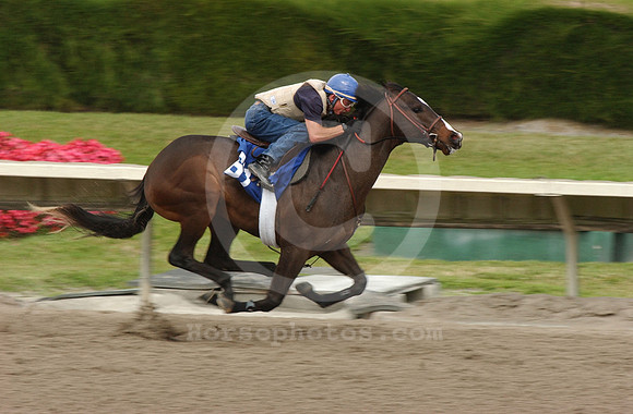 ft03hip67_jd10.1