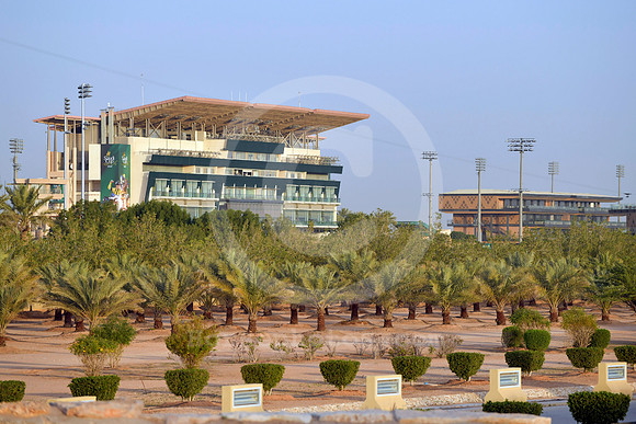King Abdulaziz racecourse905RIAD