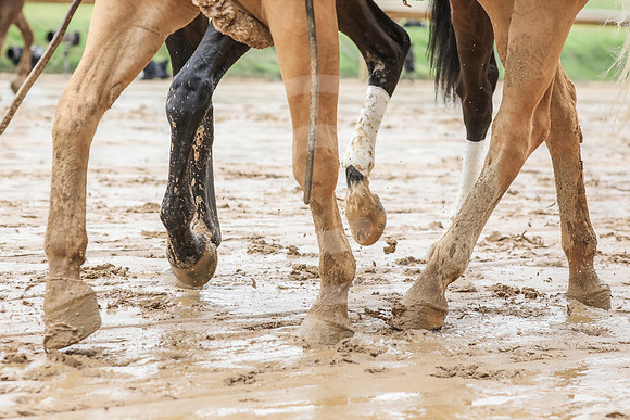 2024_oaks_day_scenics13_rn