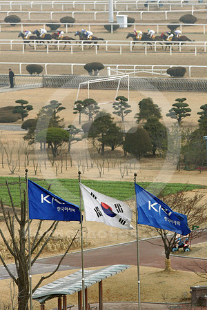 seoul_korea_23_fs