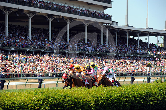 wisedan118_bn