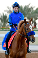 230222C905RIAD