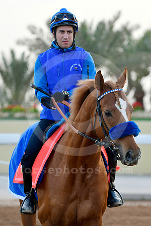 230222C905RIAD