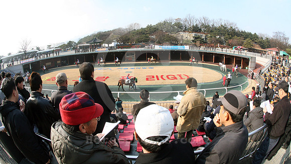 seoul_korea_52_fs