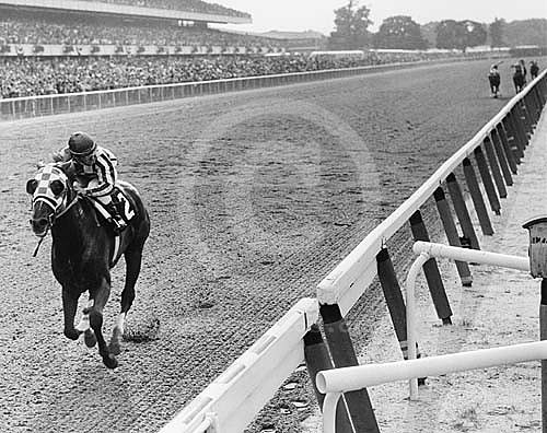 secretariat006