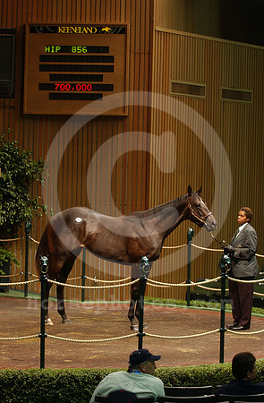 kee09_03hip856R_jd