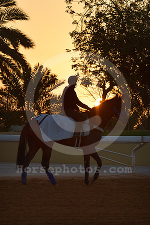 230223C904RIAD