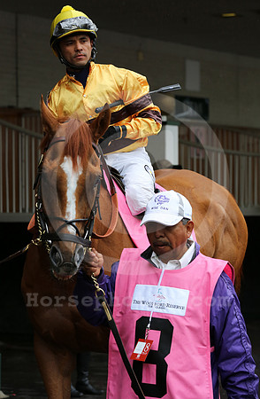 wisedan84_cg
