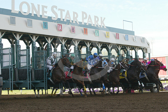 lonestarpark27