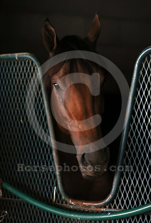 nyquist44_cg