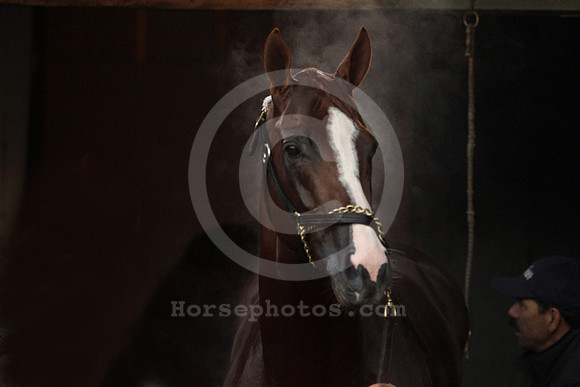 californiachrome369_cg
