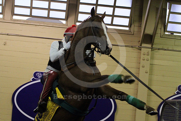 californiachrome359_cg