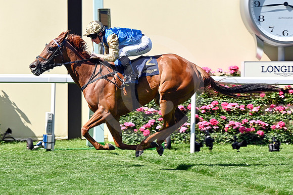 250618D491ROYAL_ASCOT