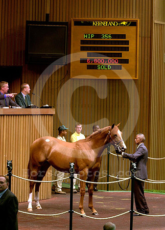 hip356