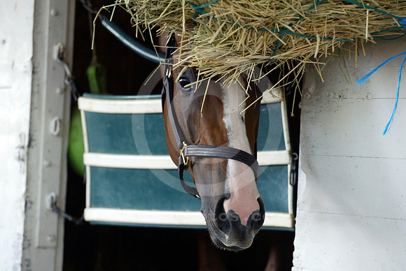 californiachrome119_cg