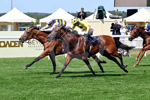 250617D508ROYAL_ASCOT