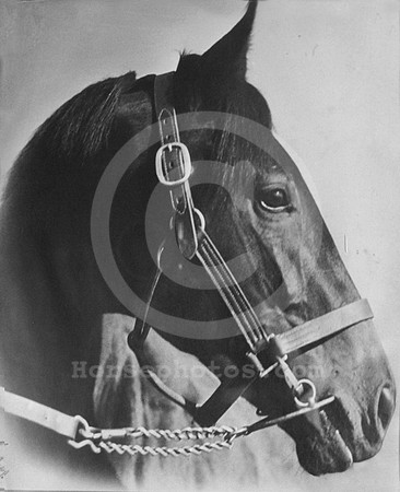 waradmiral02