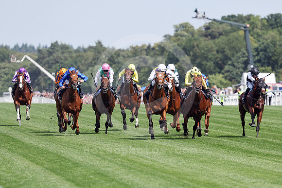 250617D505ROYAL_ASCOT
