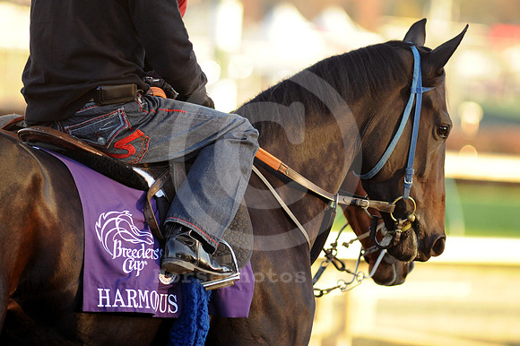 harmonious14_jn