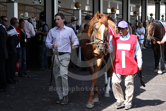 wisedan118_cg