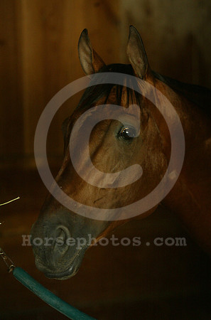 calidoscopio09_cg